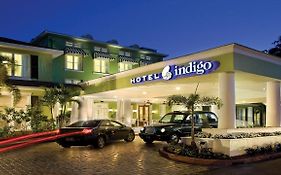 Hotel Indigo st Petersburg Florida
